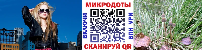 купить наркотики цена  Шали  Галлюциногенные грибы Psilocybe 